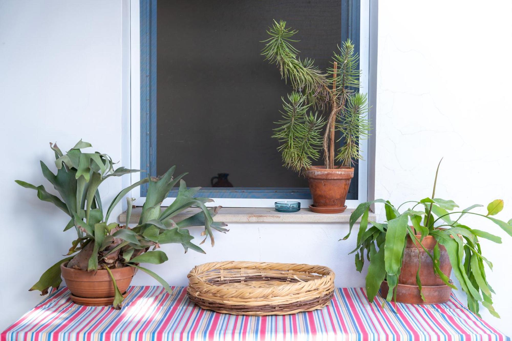 Ananke Home Nicosia Esterno foto